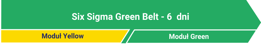 Green Belt szkolenie Lynsky Solutions
