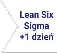 Lean Six Sigma Lynsky Solutions