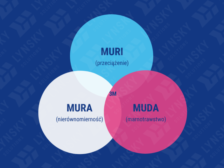 3M-muri-mura-muda-lynsky-solutions_